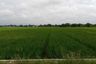 Land for sale in Cikampek Barat, West Java