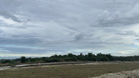 Land for sale in Matatalaib, Tarlac