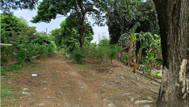 Land for sale in Imbalbalatong, Pangasinan