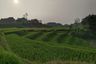 Land for sale in Sawit, West Java