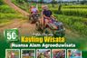 Tanah dijual dengan  di Katulampa, Jawa Barat