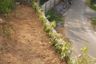 Land for sale in Cijayanti, West Java