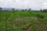 Tanah dijual dengan  di Cisaat, Jawa Barat