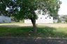 Land for sale in Tambun, West Java