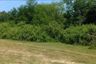 Land for sale in Sendangharjo, East Java