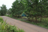 Land for sale in Cimarga, Banten