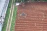 Land for sale in Setu, Banten