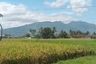 Tanah dijual dengan  di Banyuresmi, Jawa Barat