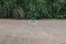 Land for sale in Pagedangan, Banten