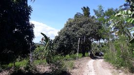 Land for sale in Guadalupe, Cebu