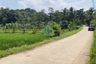Land for sale in Petir, Banten