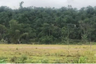 Tanah dijual dengan  di Tigaraksa, Banten