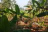 Land for sale in Balongsari, West Java