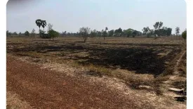 Land for sale in Non Sung, Kalasin