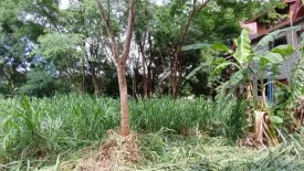 Land for sale in Nong Chabok, Nakhon Ratchasima