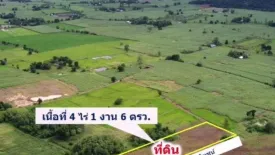 ขายบ้าน 3 ห้องนอน ใน บ้านใหม่คลองเคียน, บ้านไร่