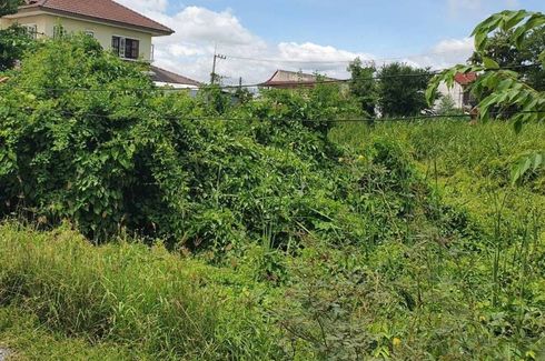 Land for sale in Sompong Village, Khlong Yong, Nakhon Pathom