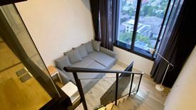 1 Bedroom Condo for sale in Siamese Sukhumvit 87, Bang Chak, Bangkok near BTS On Nut