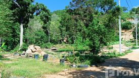 Land for sale in Bo Phut, Surat Thani