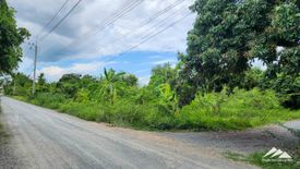 Land for sale in Tha Wang Tan, Chiang Mai