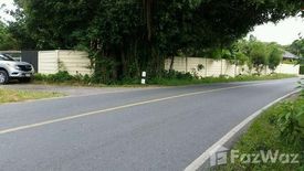 Land for sale in Huai Sai, Chiang Mai