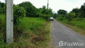 Land for sale in Huai Sai, Chiang Mai