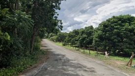 Land for sale in Tha Duea, Chiang Mai