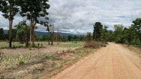 Land for sale in Tha Duea, Chiang Mai