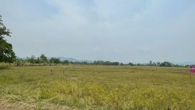 Land for sale in Sai Mun, Chiang Mai