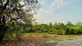 Land for sale in Ban Luang, Chiang Mai