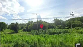 Land for sale in Wiang Sa, Surat Thani