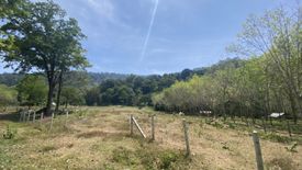 Land for sale in Pa Khlok, Phuket