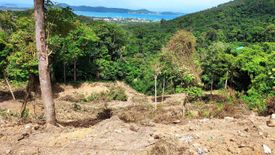 Land for sale in Karon, Phuket