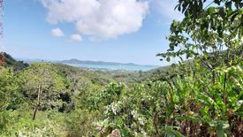 Land for sale in Karon, Phuket