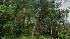 Land for sale in Choeng Thale, Phuket