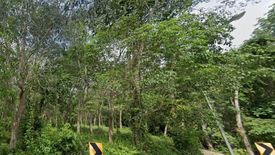 Land for sale in Choeng Thale, Phuket