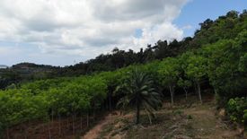 Land for sale in Pa Khlok, Phuket