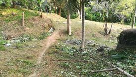 Land for sale in Patong, Phuket