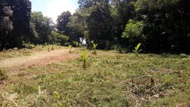 Land for sale in Rawai, Phuket