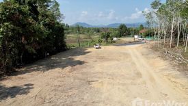 Land for sale in Pa Khlok, Phuket