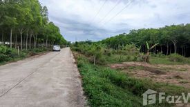 ขายที่ดิน ใน พะตง, หาดใหญ่