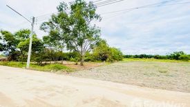 Land for sale in Bueng Ba, Pathum Thani