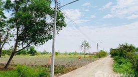 Land for sale in Bueng Ba, Pathum Thani