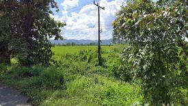 Land for sale in Huai Yang Kham, Phayao