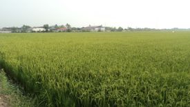 Land for sale in Rat Niyom, Nonthaburi