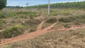 Land for sale in Rattanawapi, Nong Khai