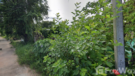 Land for sale in Ban Kluai, Chainat