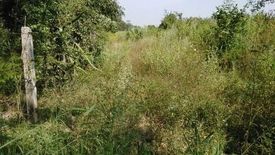 Land for sale in Na Klang, Nakhon Ratchasima