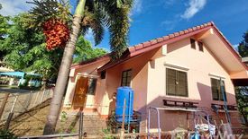 3 Bedroom House for sale in San Sai, Chiang Rai