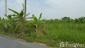 Land for sale in Lam Phak Kut, Pathum Thani